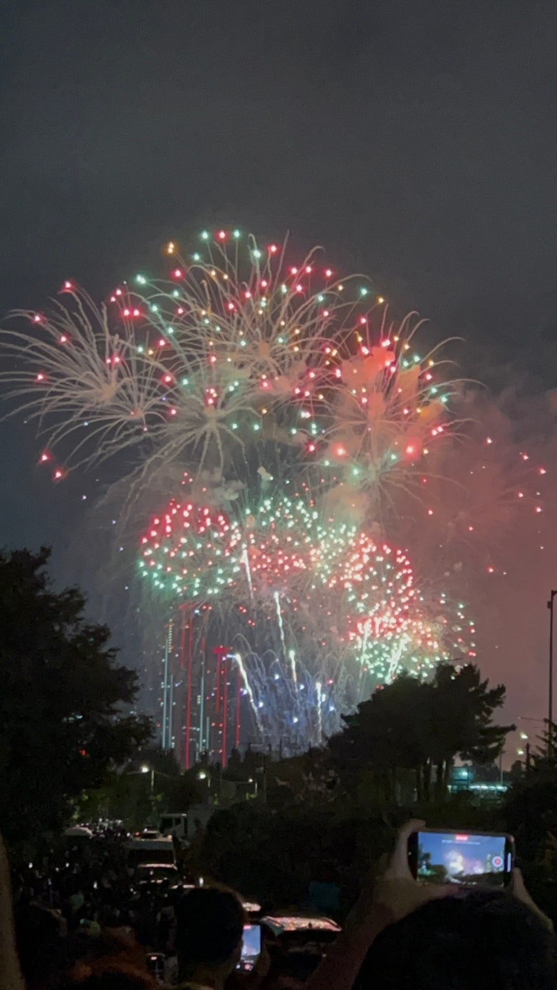 2026 여의도 불꽃축제 기다리지 않고 보는 이촌한강공원 스팟