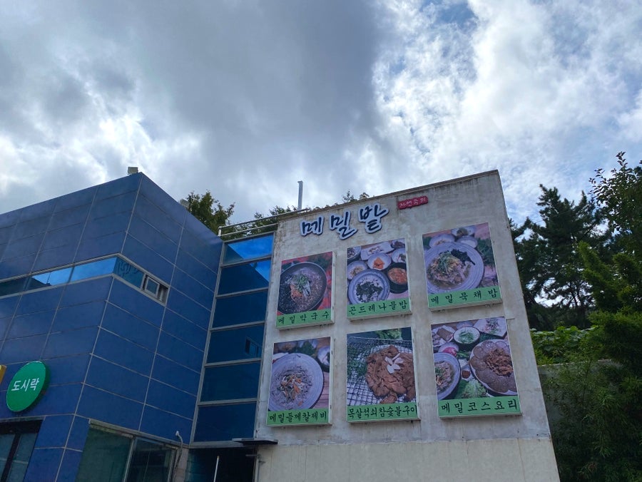 봉평메밀밭 사진 2