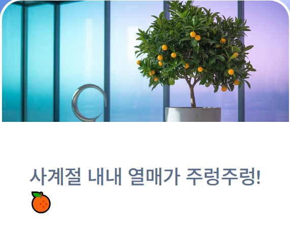 사계절 내내 열매가 주렁주렁! '유주나무' 키우기 A to Z (실내 반려식물 추천)