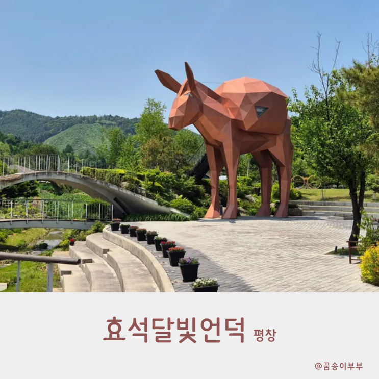  효석달빛언덕 메밀꽃 필 무렵 낭만적인 인생샷 여행지