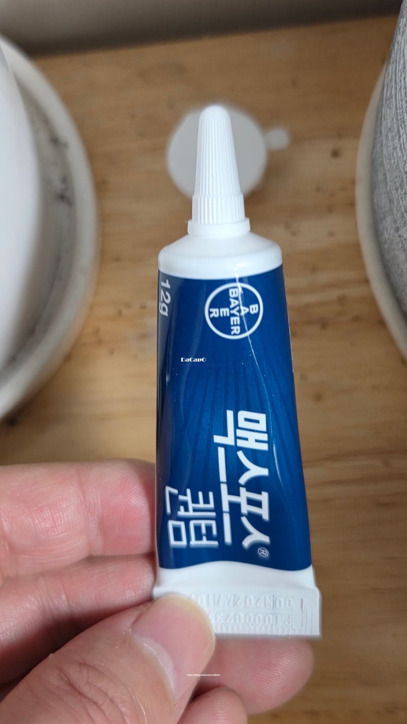 바이엘 맥스포스퀀텀 12g - 개미 박멸 친환경 살충제 다이소 컴배트파워 후기