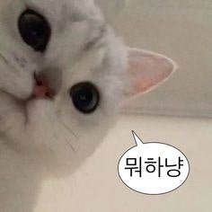 주식아가방 투자 강연 참관 후기