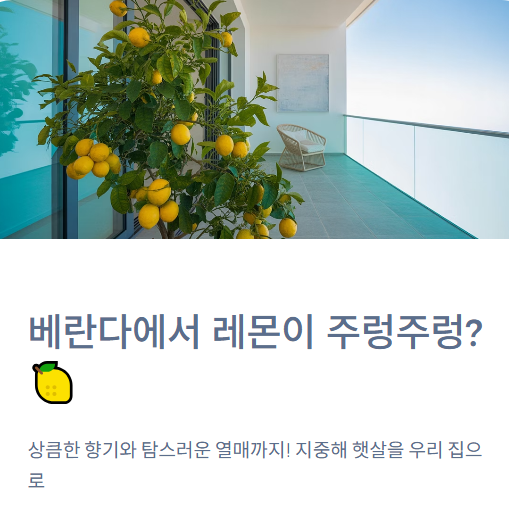  베란다에서 '레몬'이 주렁주렁? 레몬나무 키우기 A to Z (실내 반려식물)