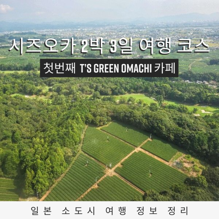 시즈오카 2박 3일 여행 코스 시작 1일차 첫 방문지 T’s green omachi 카페