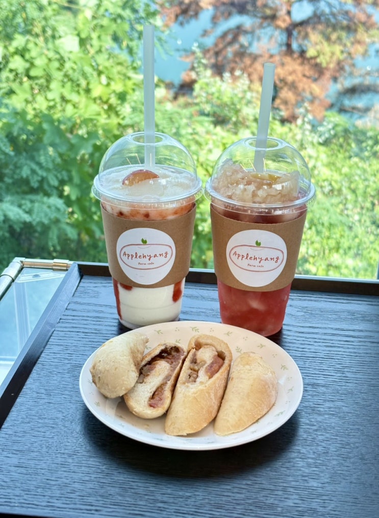  안동카페 애플향｜안동댐 뷰가 아름다운 안동 신상카페