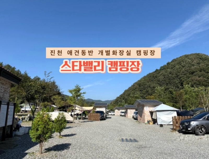 사진 3