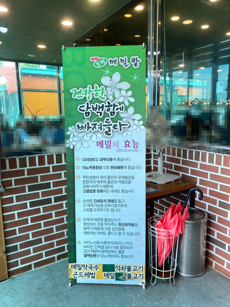 봉평메밀밭 사진 4