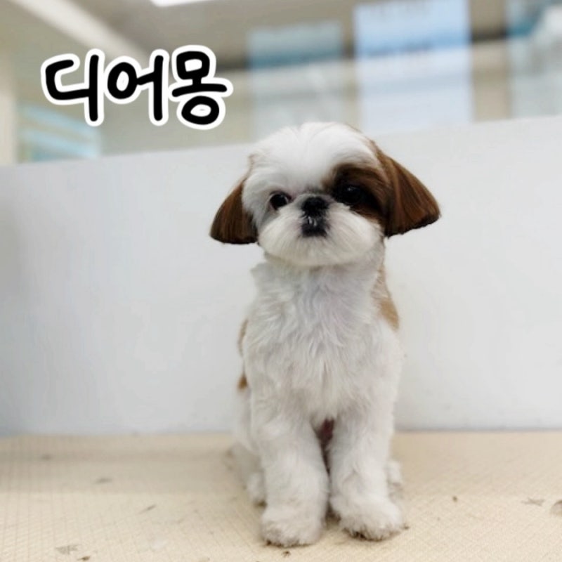 사진 3
