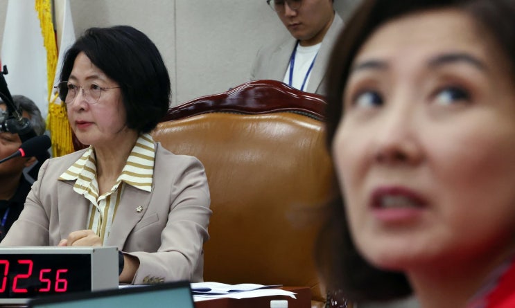<b>추미애</b> 더불어민주당 의원의 <b>경기지사 출마</b>에 나경원 맞불 ......