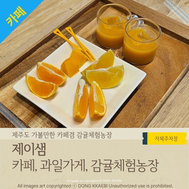  추석선물 황금향, 제주 애월 빙수 맛집 '제이샘' 감귤체험농장