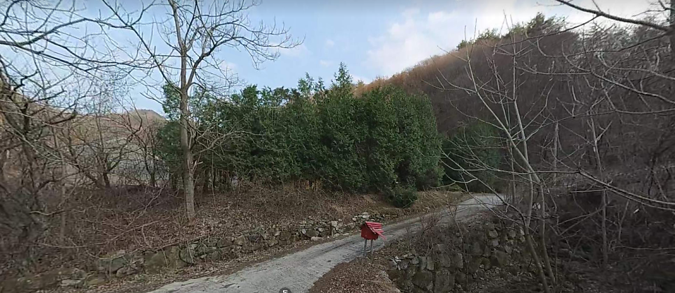 구하골 사진 4
