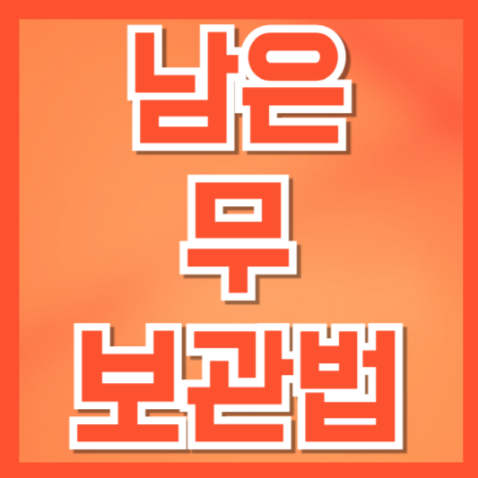  무 보관법 이렇게 하면 2주도 거뜬해요 – 자른 무부터 통무까지 오래 보관하는 팁