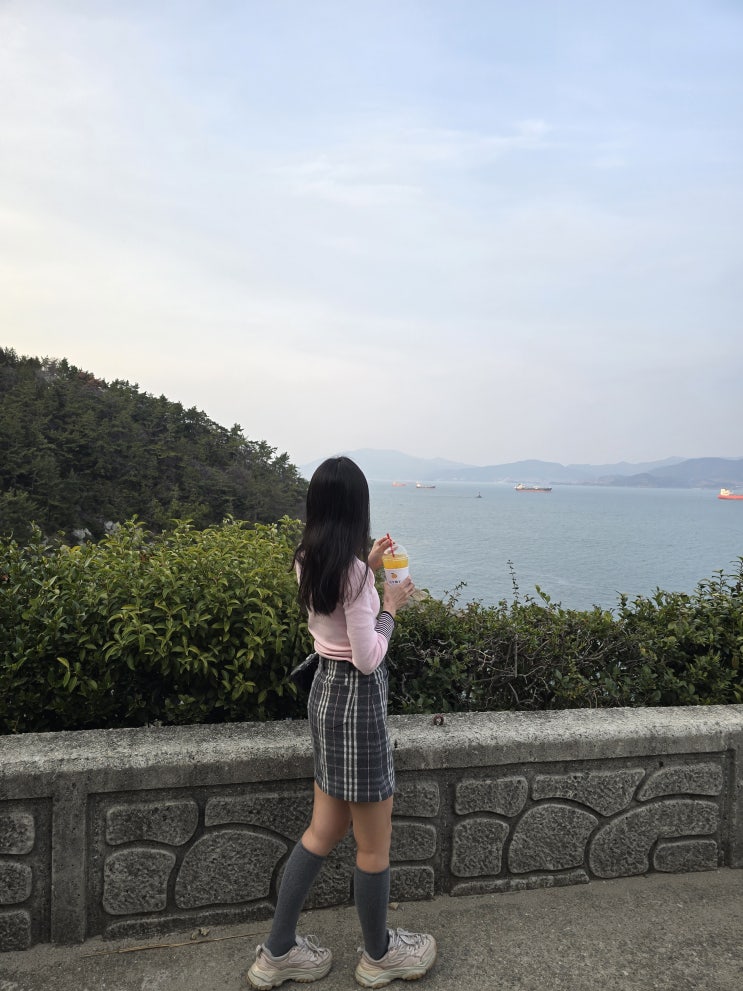  여수 기념품 먹거리로 좋은 여수 이순신광장 디저트 BEST3