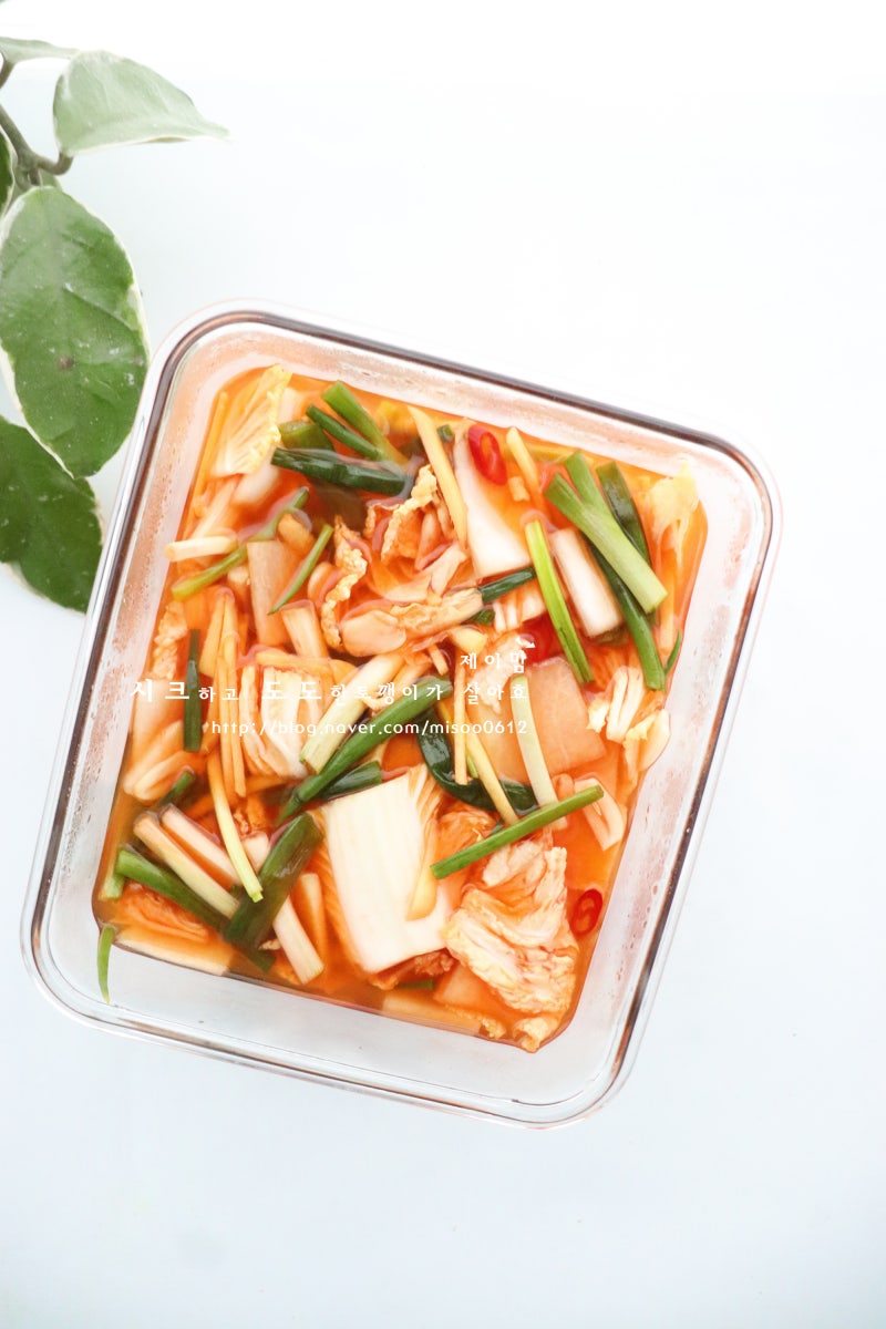 나박김치 담그는법 알토란 나박물김치 레시피로 맛있게 만드는법 추석김치 만들기