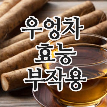  우엉차 효능과 부작용, 당뇨 관리에 좋은 차!