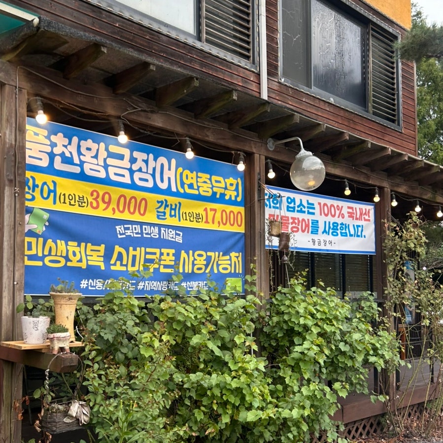 풍천황금장어 사진 5