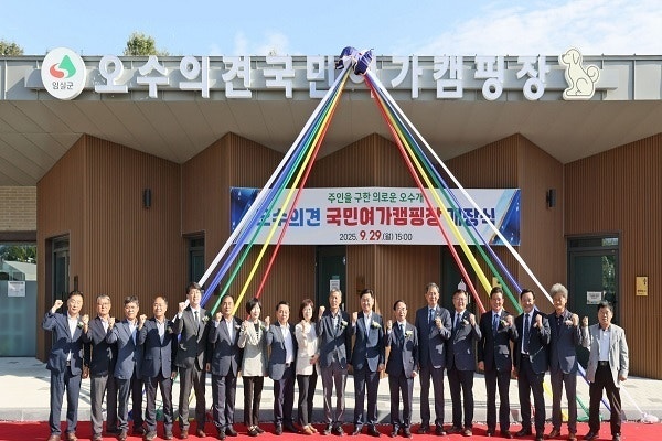 사진 3