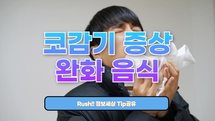  코가 뻥 뚫리는! 코감기 증상 완화 음식 총정리