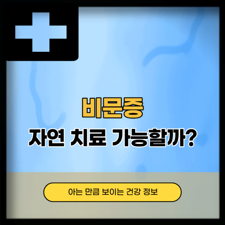  비문증 치료 방법, 날파리증 자연 치료 가능?