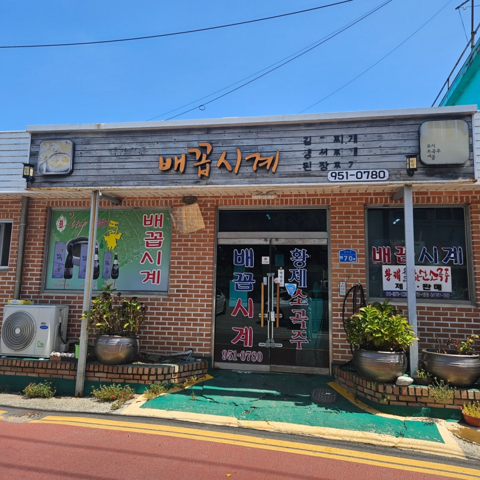 배꼽시계 사진 1
