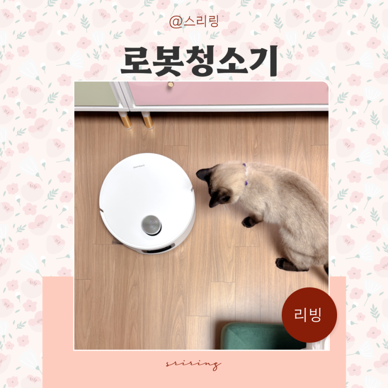 로봇청소기 문턱 해결, 다이소보다 확실했던 선택