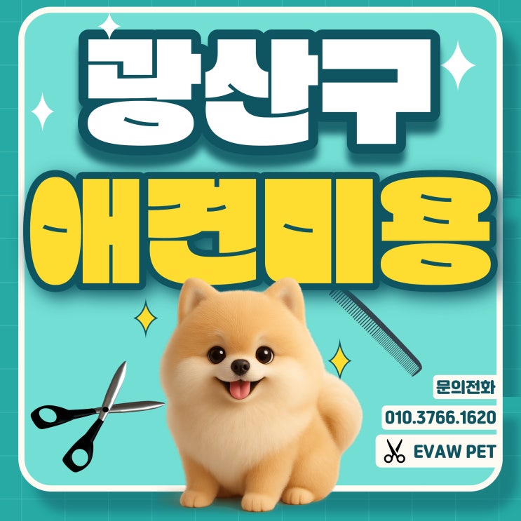  광산구애견미용학원 실습·자격증·취업과 창업까지 완벽 대비