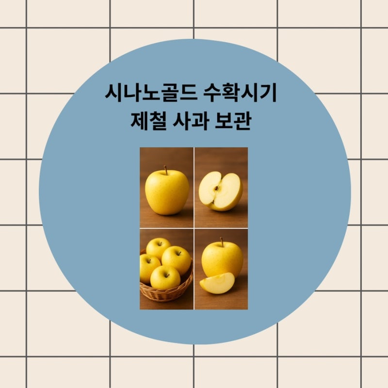 시나노골드 수확시기 제철 사과 보관 총정리
