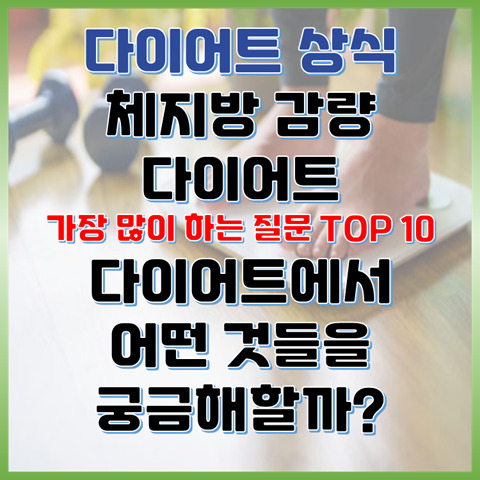 체지방 감량 다이어트, 가장 궁금한 호기심 TOP 10