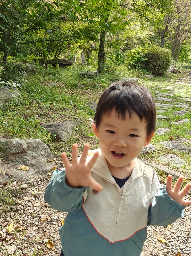 [가평 여행] 아이 둘과 함께 유명산자연휴양림 숲속의집 오소리 후기