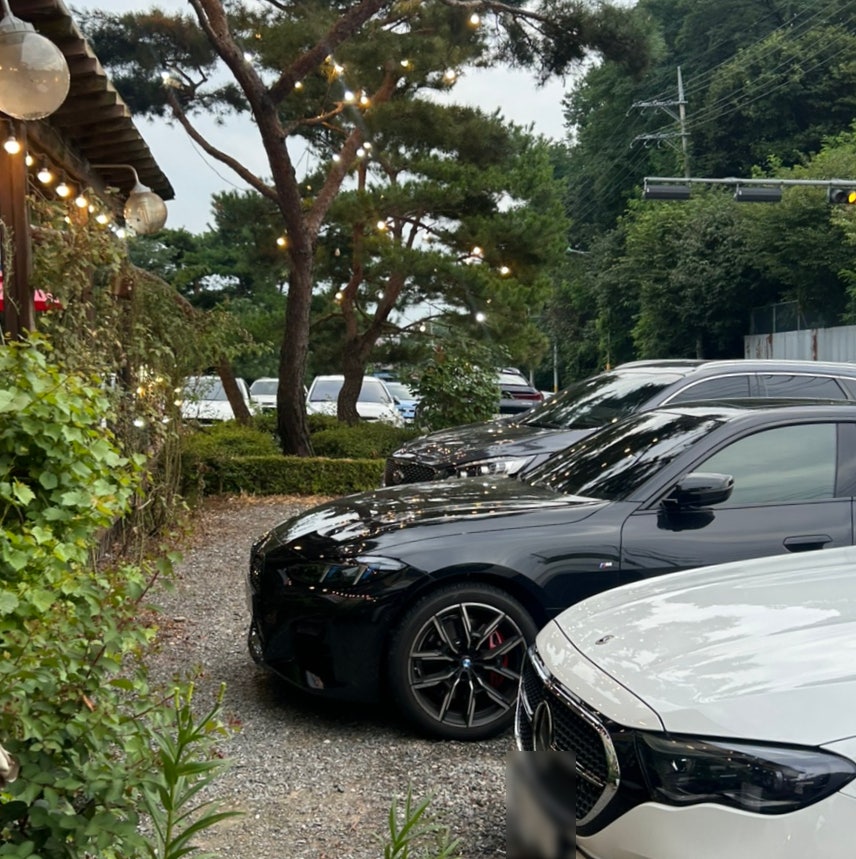 풍천황금장어 사진 6