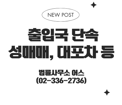  출입국 단속 - 외국인 성매매 알선, 불법고용, 대포차 운행 등