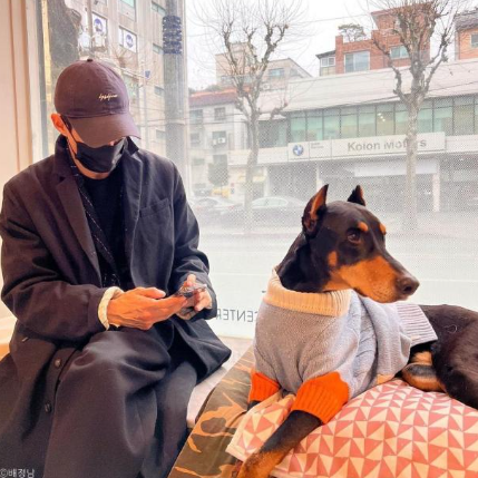 <b>배정남</b> 반려견 <b>벨 심장마비</b> 갑작스러운 이별 소식, 반려견장례... 