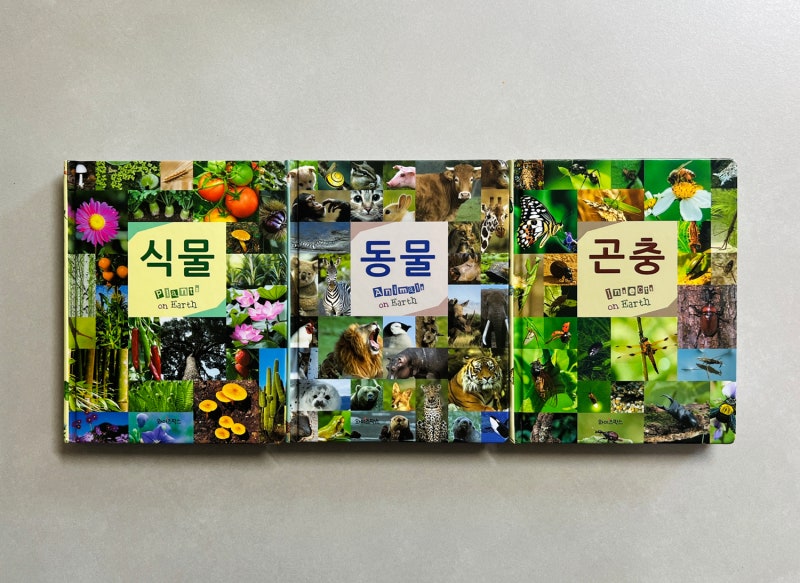 블로그 후기 사진