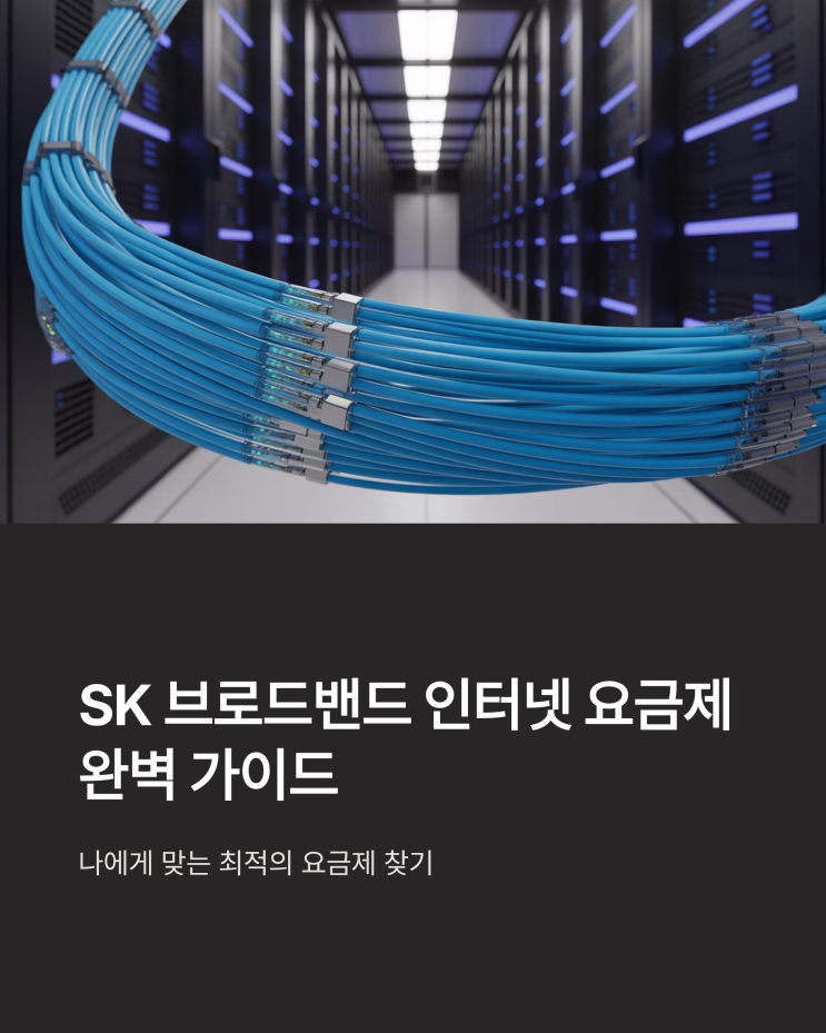  SK 브로드밴드 인터넷 요금제 완벽 분석: 나에게 맞는 상품은?