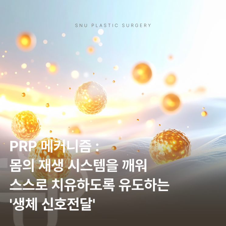  피부 미용 PRP 장점·단점 비교｜지금도 추천하는 이유