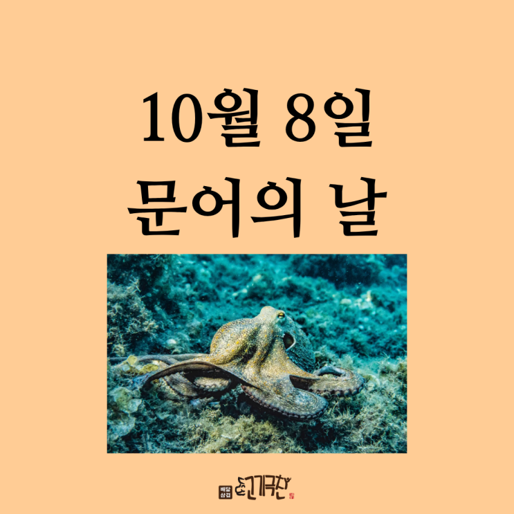  10월 8일, 오늘은 무슨 날? 문어의 날