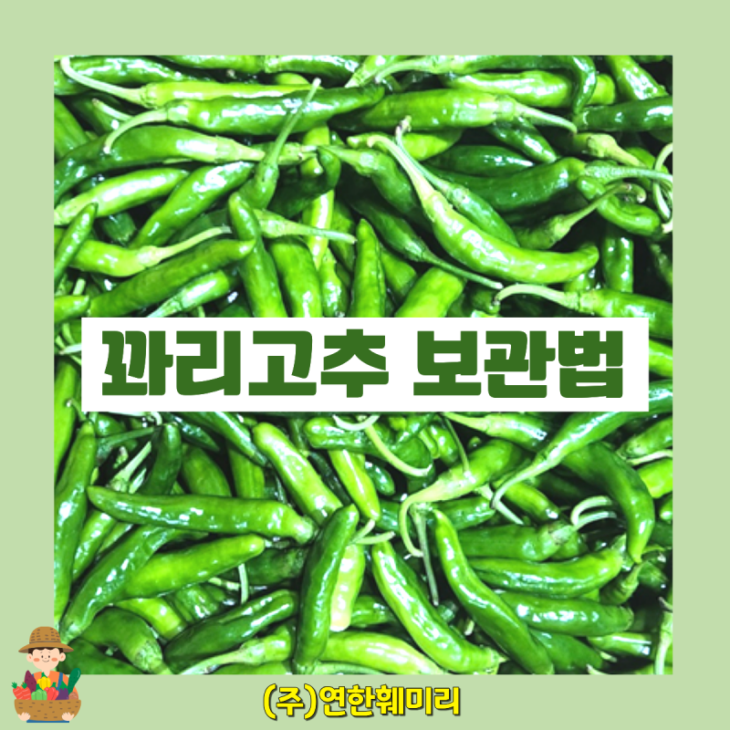 꽈리고추, 이렇게 보관하면 오래 갑니다