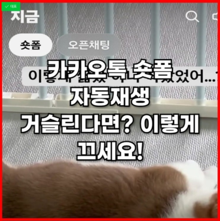  카카오톡 숏폼 자동재생 거슬린다면? 이렇게 끄세요!