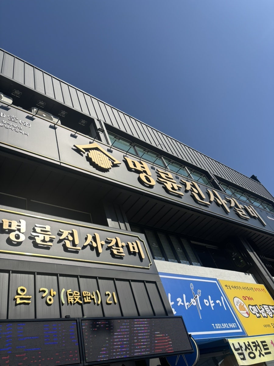 셀바 사진 1