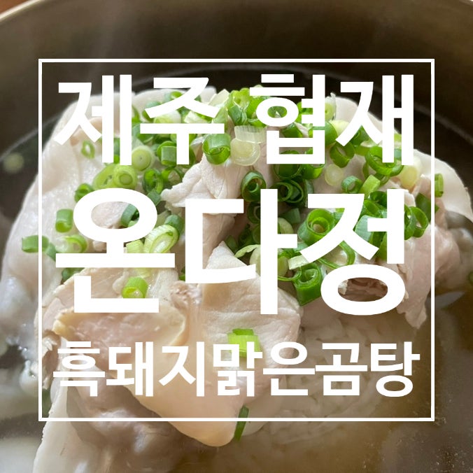  제주 협재 온다정흑돼지 맑은곰탕으로 속 따숩게 여행하기(육전비빔국수, 마농돼지갈비찜 후기)