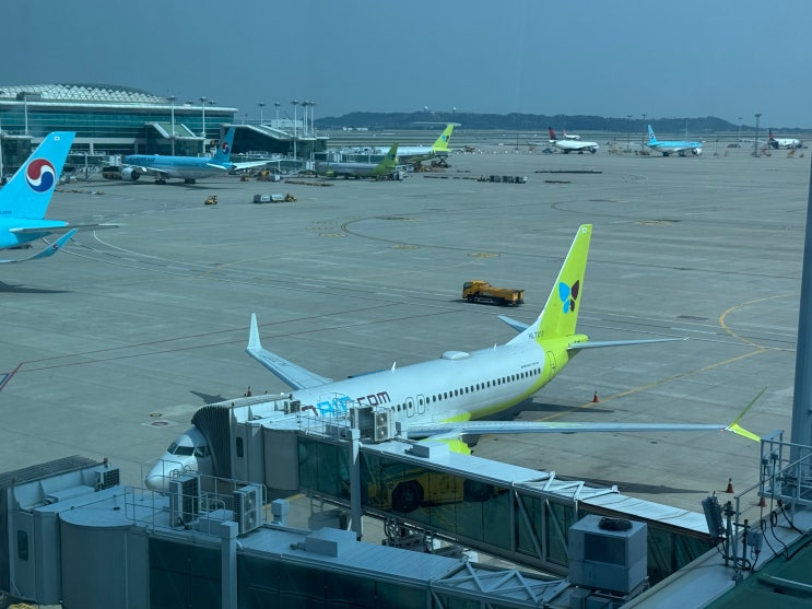  [20250915] 진에어 LJ359 서울 인천 → 타카마츠 이코노미 탑승 후기 (ICN→TAK)