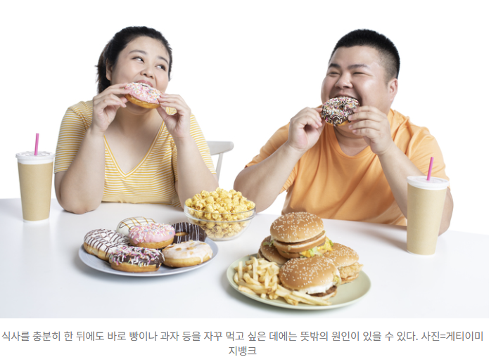  “밥 먹어도 배고픈 이유 먹어도 먹어도 출출한 진짜 원인 4가지”