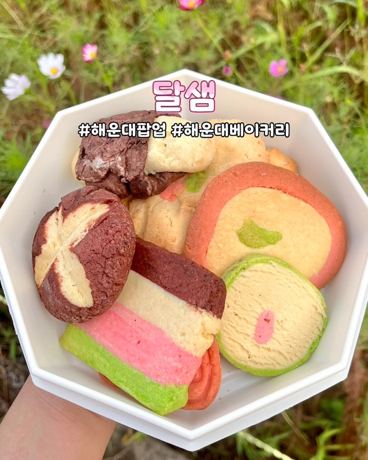  부산 해운대베이커리 달샘 신세계센텀 팝업 쿠키 마카롱 해운대팝업 후기