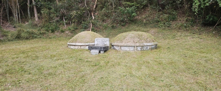  울산울주군언양읍반천리896-2 봉분2기 100평 벌초제초대행("울산벌초대행")
