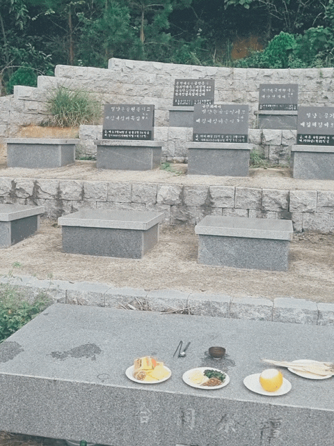  성묘 벌초 시기
