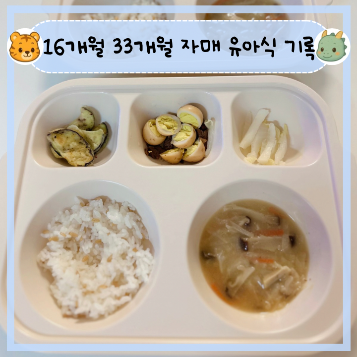 16개월 33개월 아기 유아식 식판 밥상 #8 | 아기 반찬 & 식단 - 들깨버섯국, 가지부침