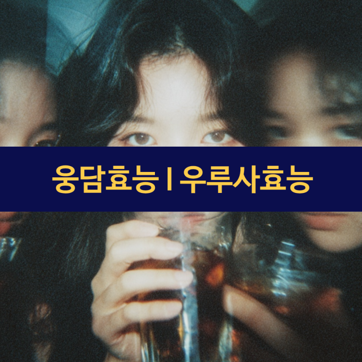  웅담 효능 |  우루사 효능 | 곰 쓸개는 건강에 도움이 되는지? | 지방간 개선
