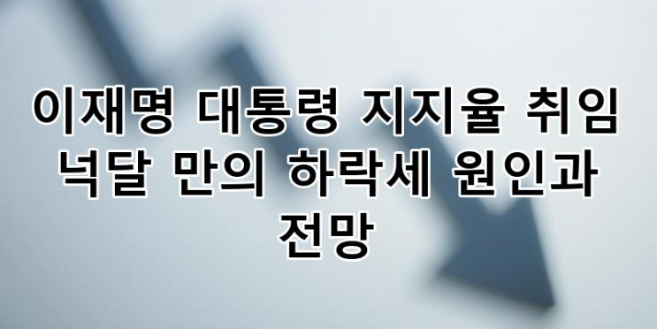 <b>이재명 대통령 지지율 하락</b> 원인과 전망: 취임 넉 달 만의 변화... 