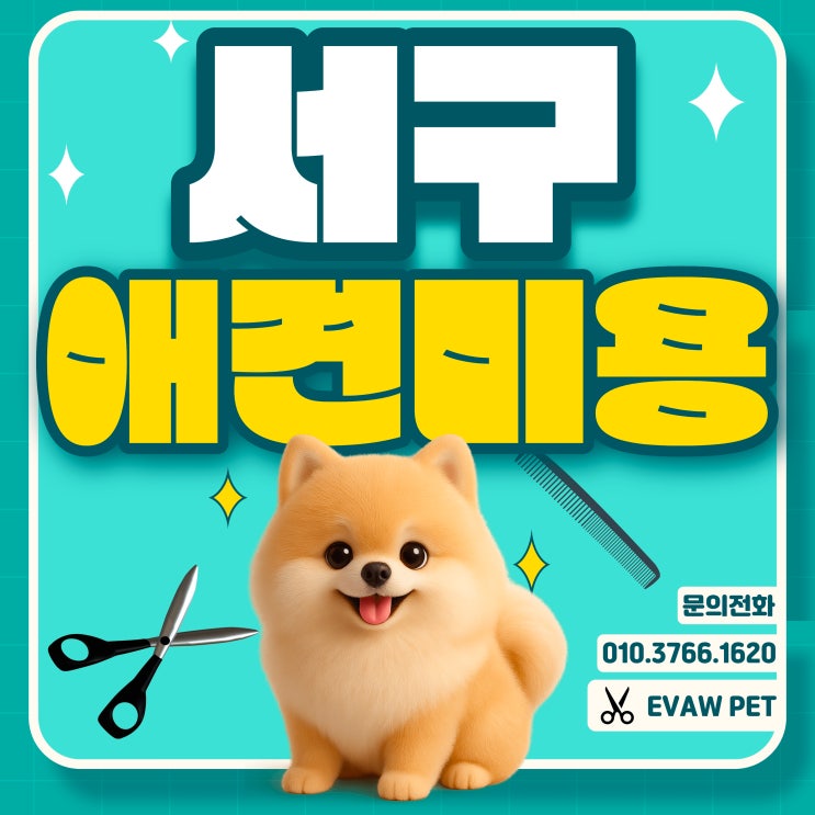  서구애견미용학원 — 자격증·실습·취업까지 연결하는 선택 기준
