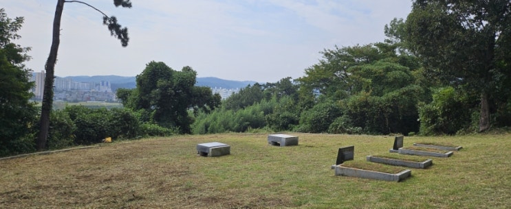  울산울주군온양읍동상리산112 봉분4기 120평 벌초제초대행("울산벌초대행")